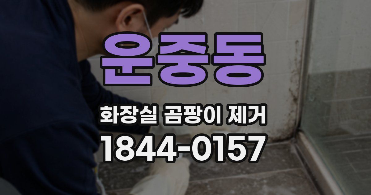 운중동 화장실 곰팡이 제거