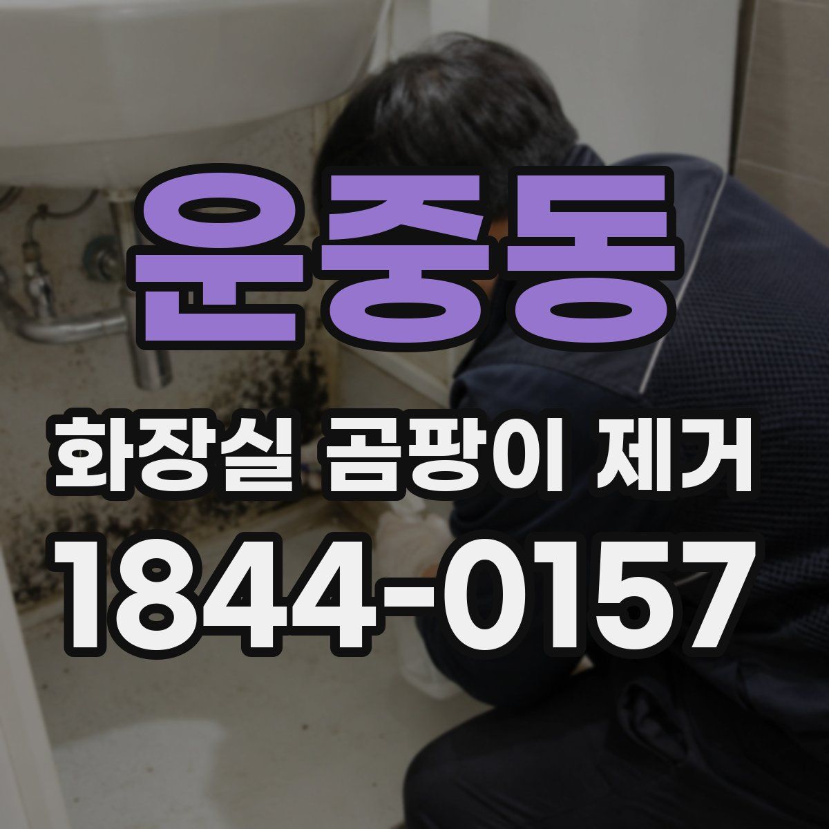 운중동 화장실 곰팡이 제거