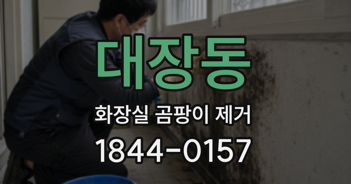 대장동 화장실 곰팡이 제거