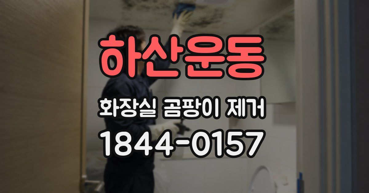 하산운동 화장실 곰팡이 제거