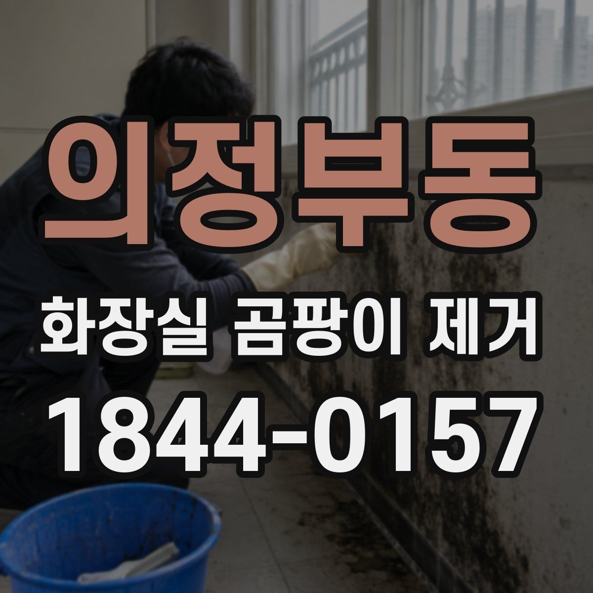 의정부동 화장실 곰팡이 제거