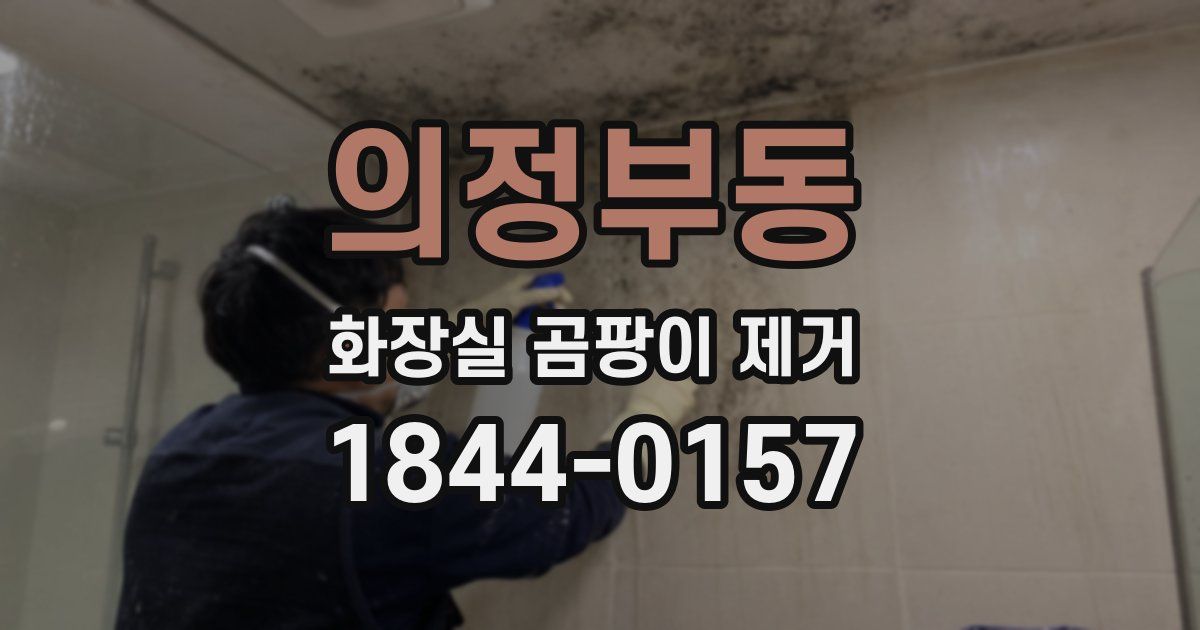 의정부동 화장실 곰팡이 제거