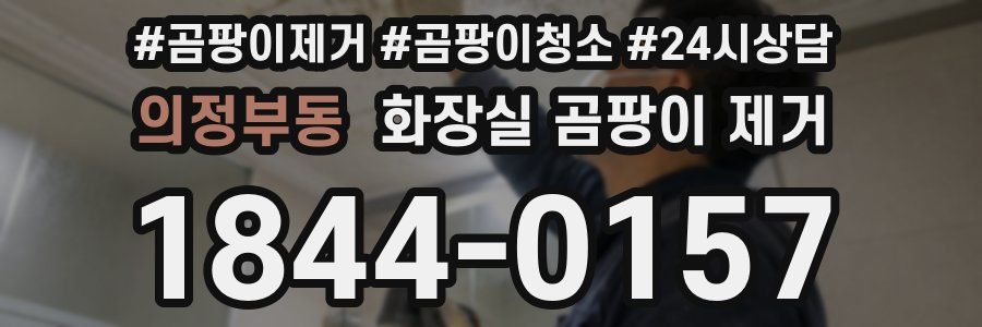 의정부동 화장실 곰팡이 제거