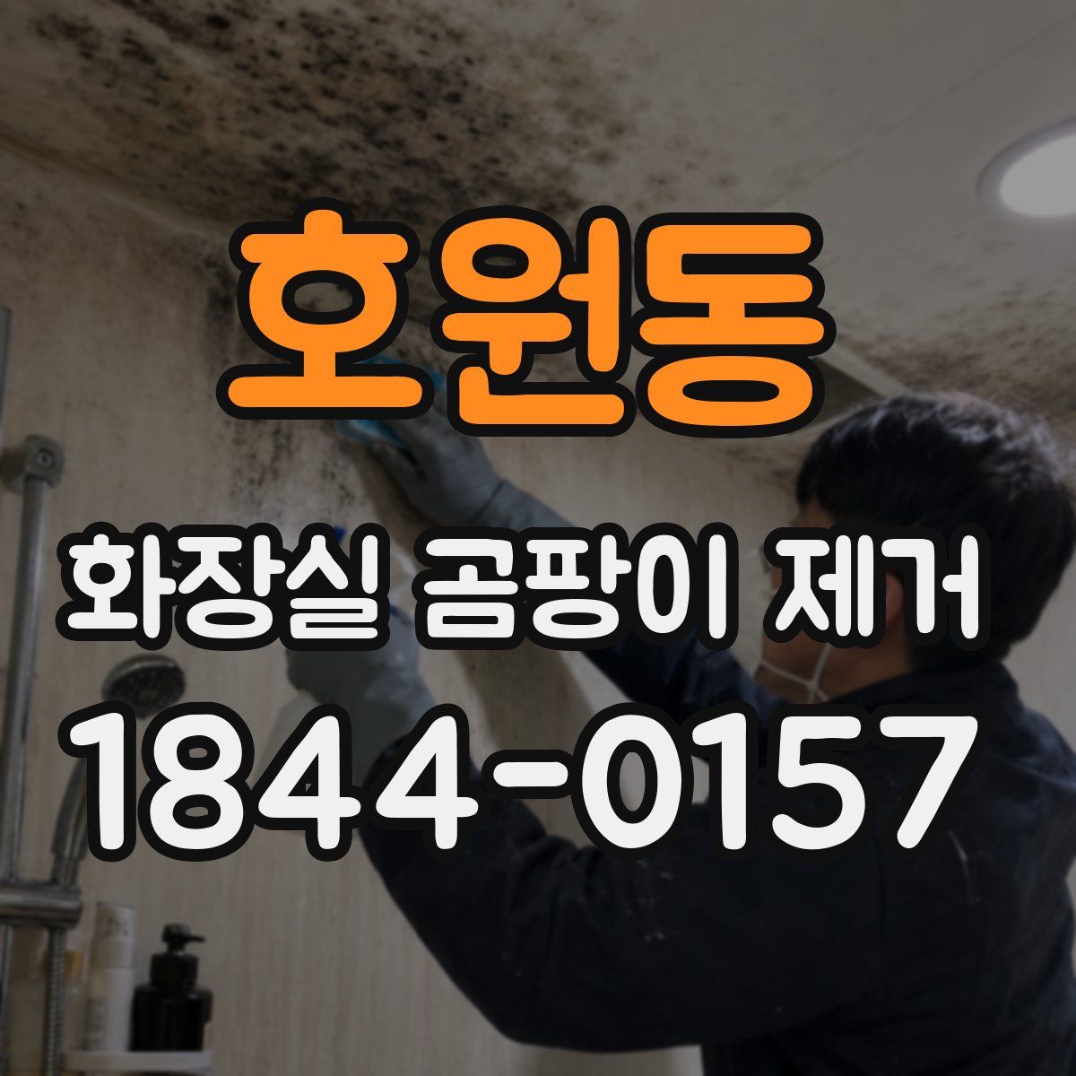 호원동 화장실 곰팡이 제거