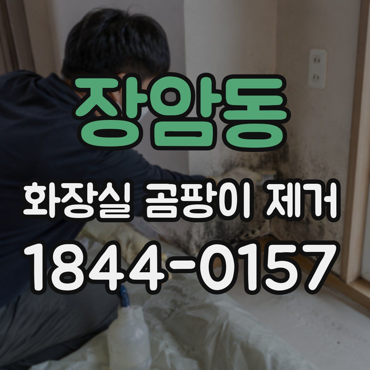 장암동 화장실 곰팡이 제거