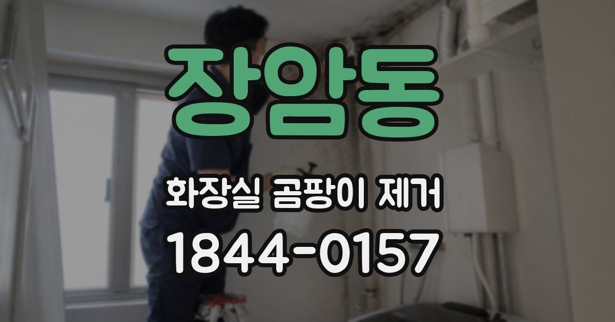 장암동 화장실 곰팡이 제거