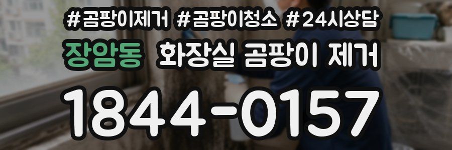 장암동 화장실 곰팡이 제거