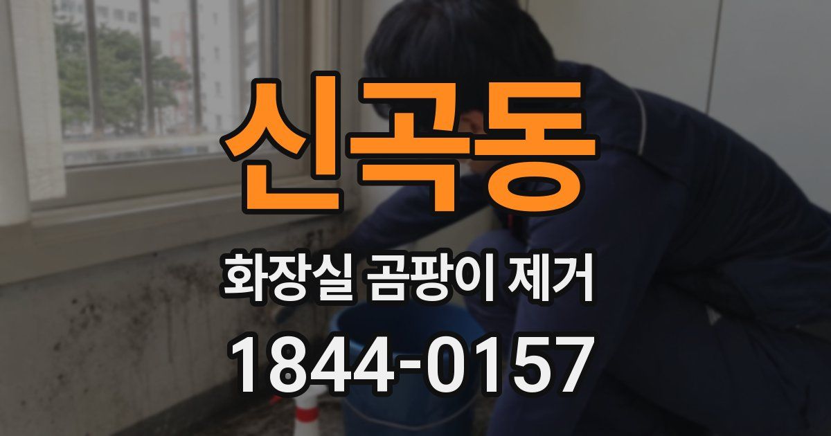 신곡동 화장실 곰팡이 제거