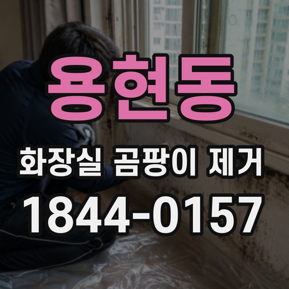 용현동 화장실 곰팡이 제거