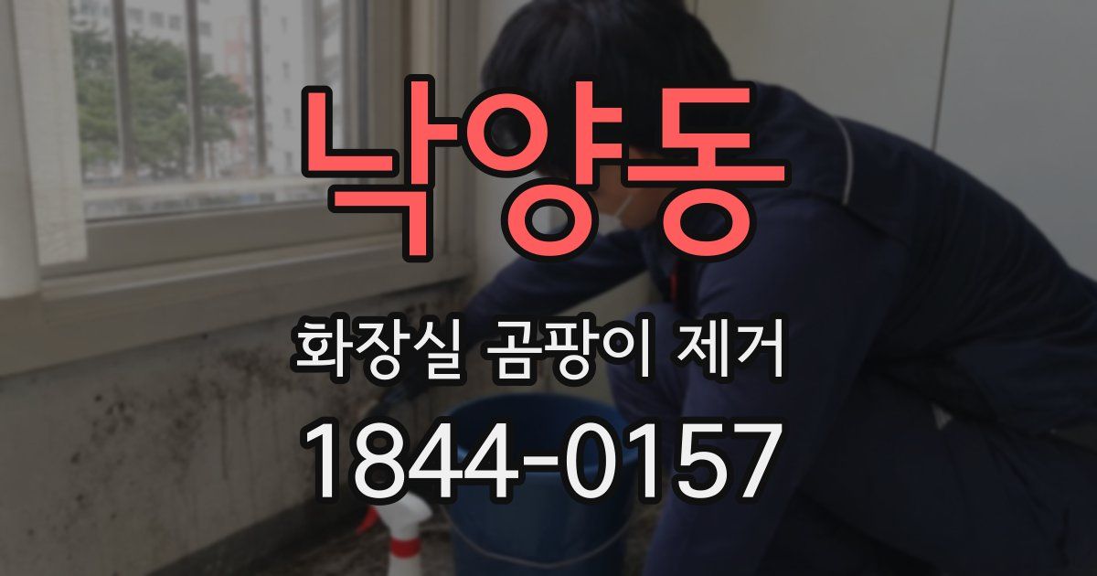 낙양동 화장실 곰팡이 제거