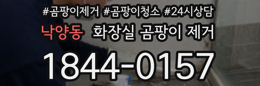 낙양동 화장실 곰팡이 제거