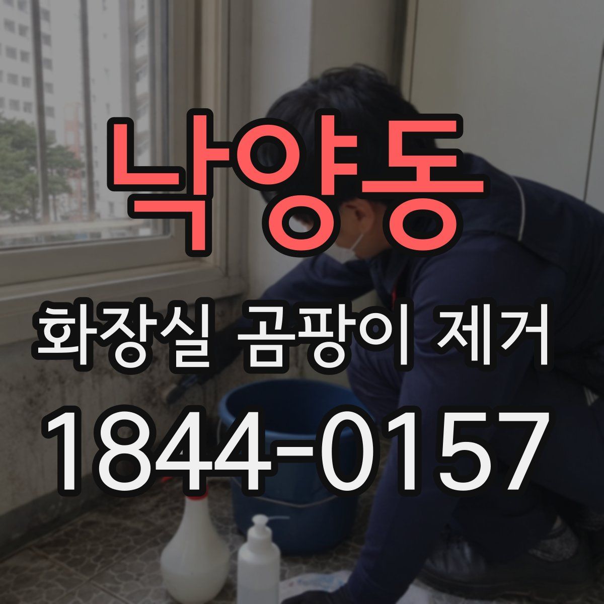 낙양동 화장실 곰팡이 제거