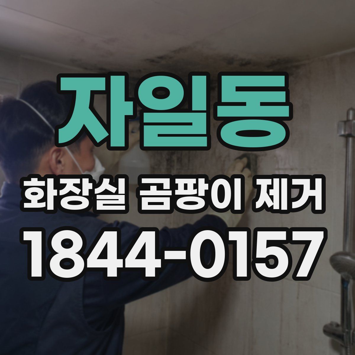 자일동 화장실 곰팡이 제거