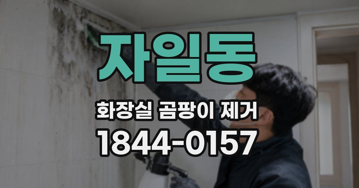 자일동 화장실 곰팡이 제거