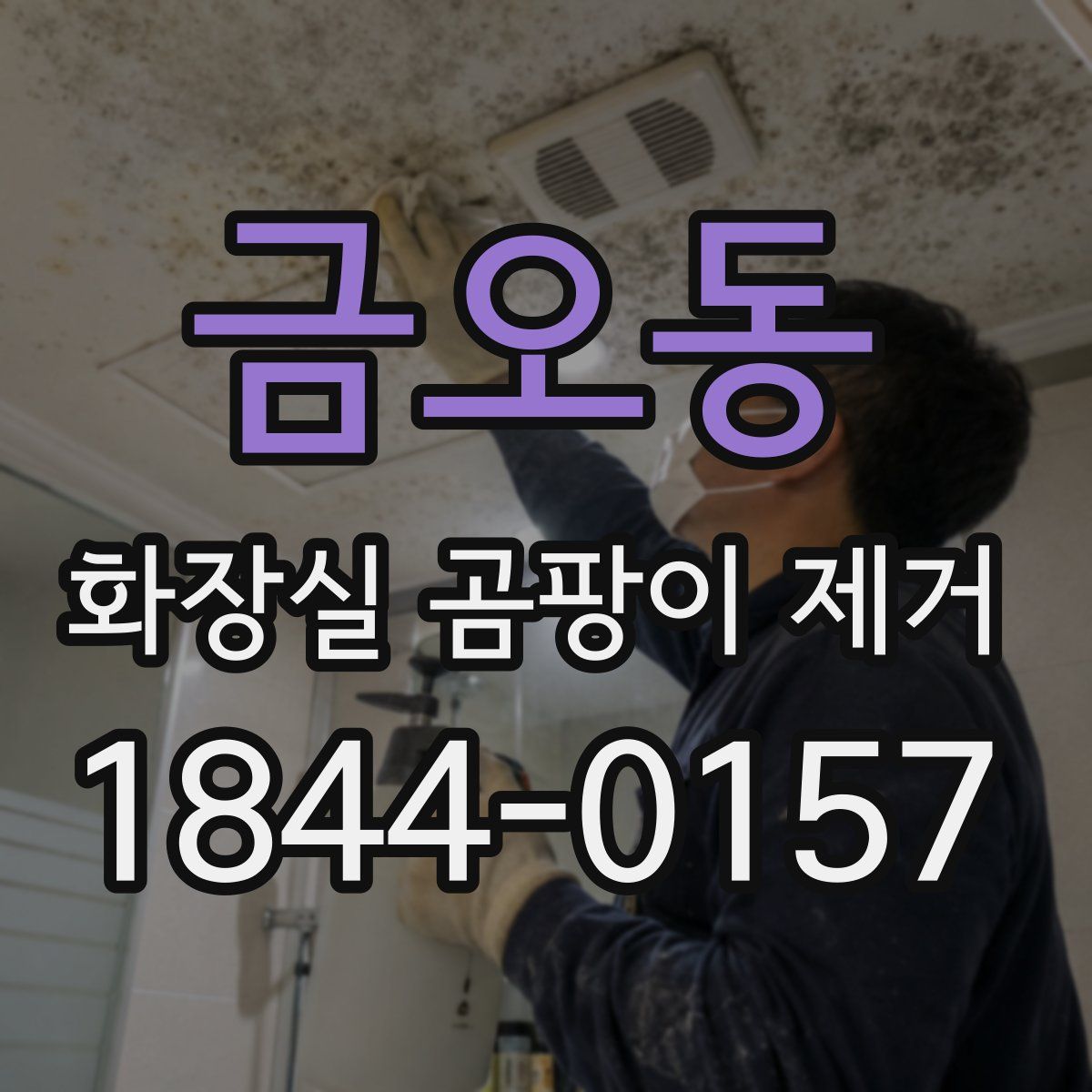 금오동 화장실 곰팡이 제거