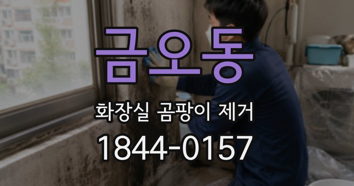 금오동 화장실 곰팡이 제거