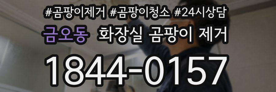 금오동 화장실 곰팡이 제거