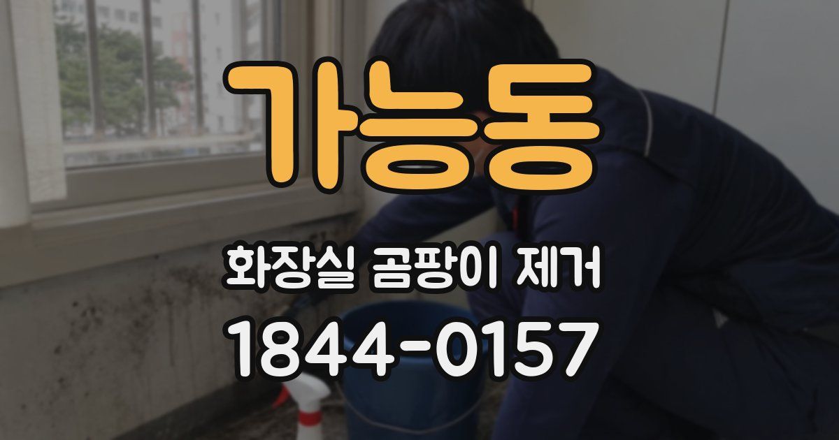 가능동 화장실 곰팡이 제거