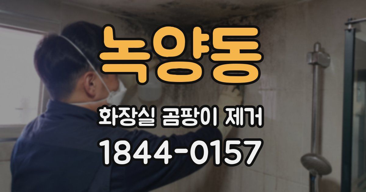 녹양동 화장실 곰팡이 제거