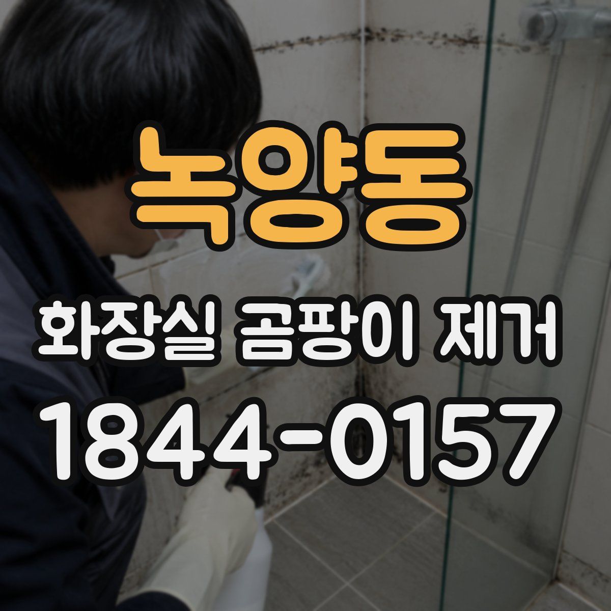 녹양동 화장실 곰팡이 제거