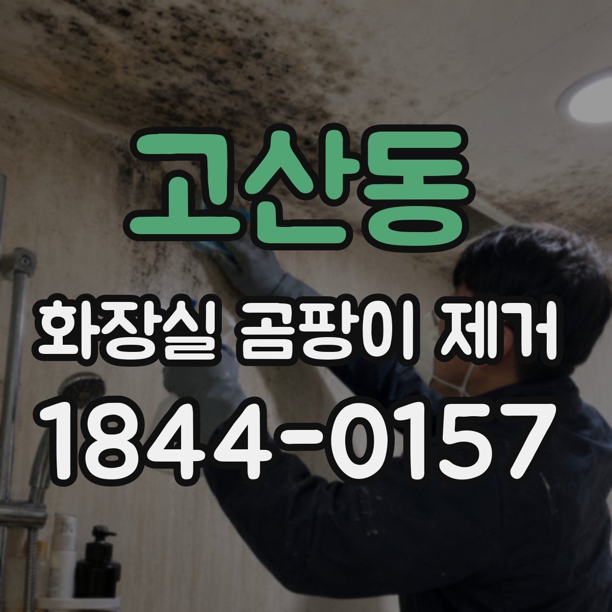 고산동 화장실 곰팡이 제거 곰팡이와 물때를 구분해 닦는 방법