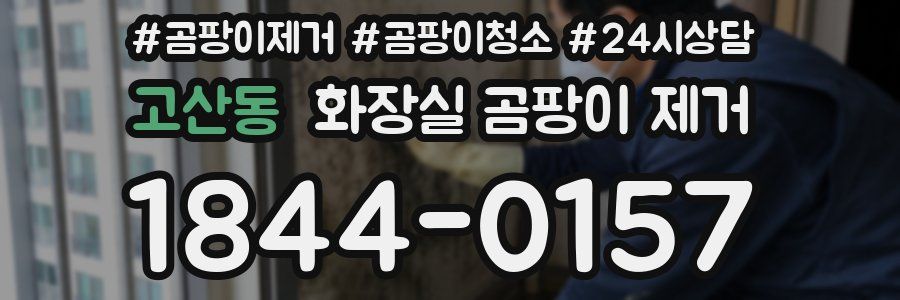 고산동 화장실 곰팡이 제거