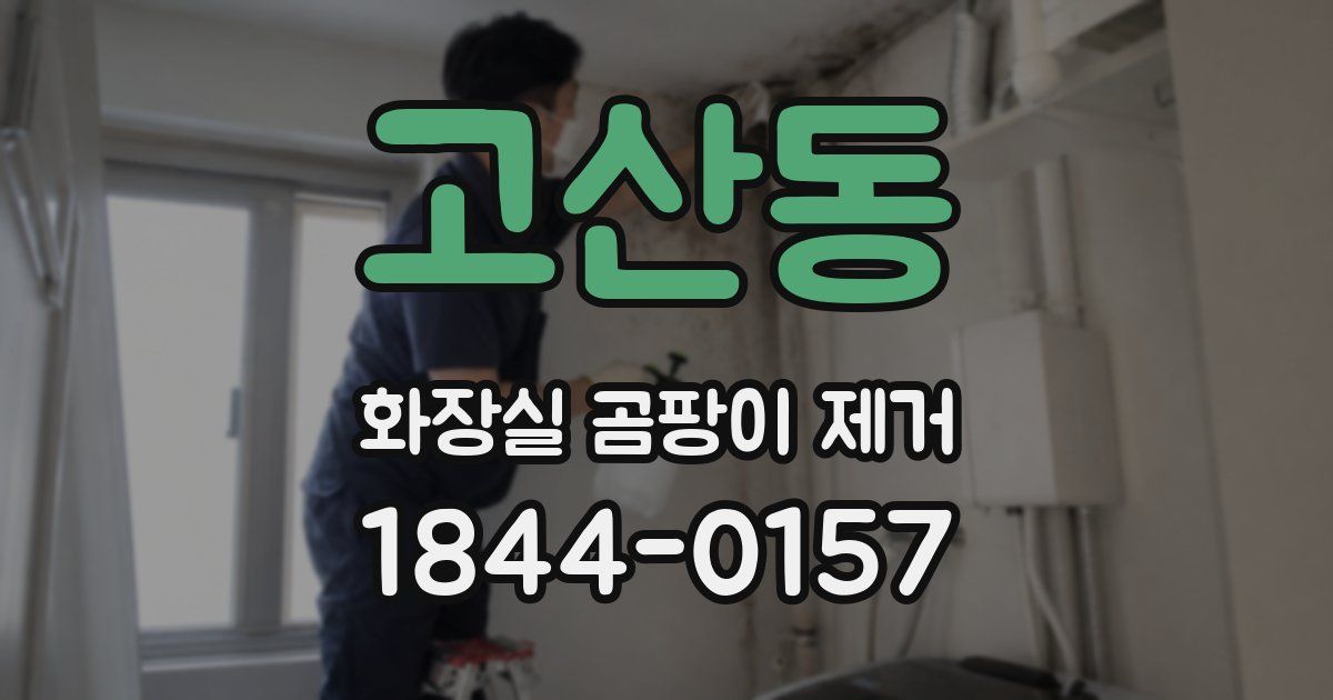고산동 화장실 곰팡이 제거