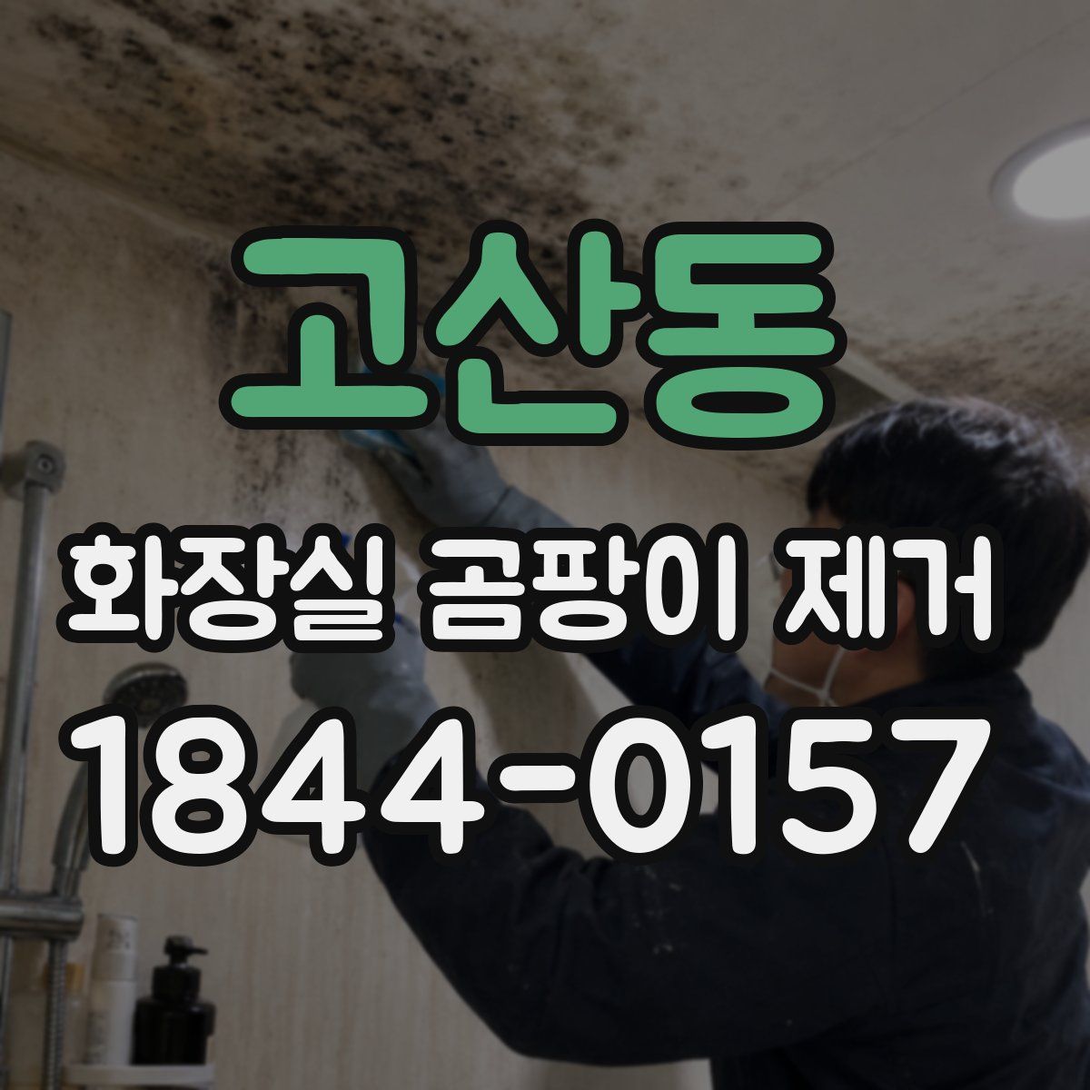고산동 화장실 곰팡이 제거