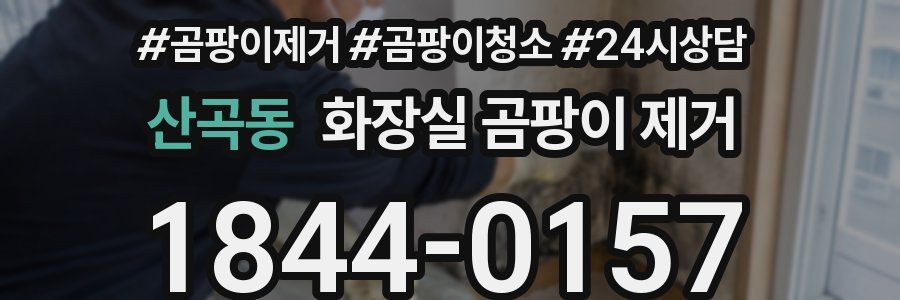 산곡동 화장실 곰팡이 제거