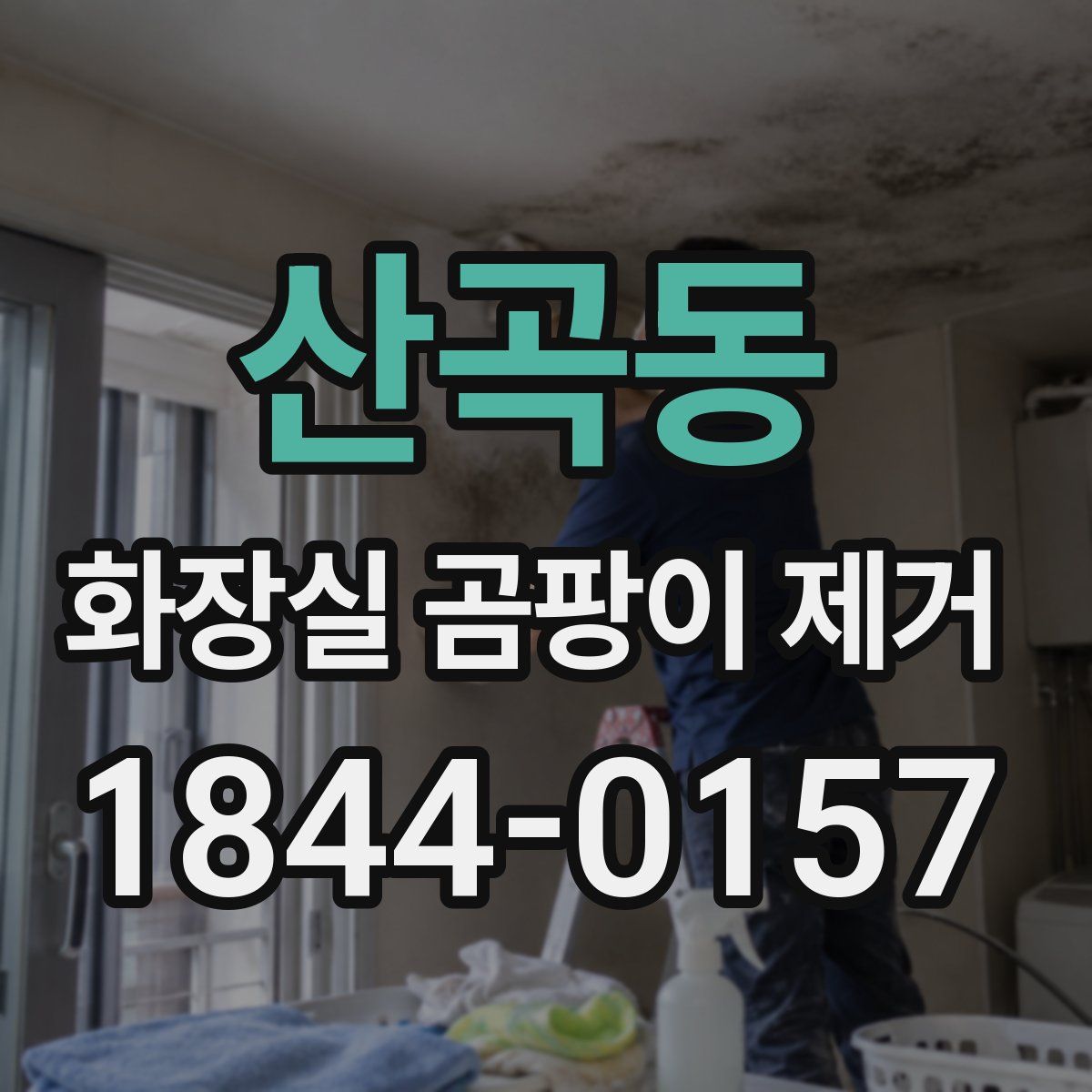 산곡동 화장실 곰팡이 제거