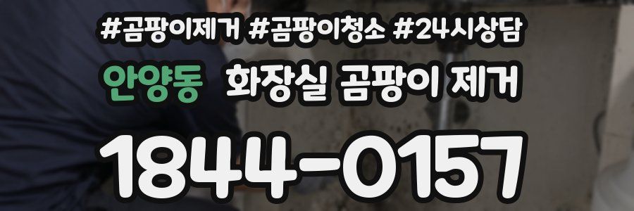 안양동 화장실 곰팡이 제거