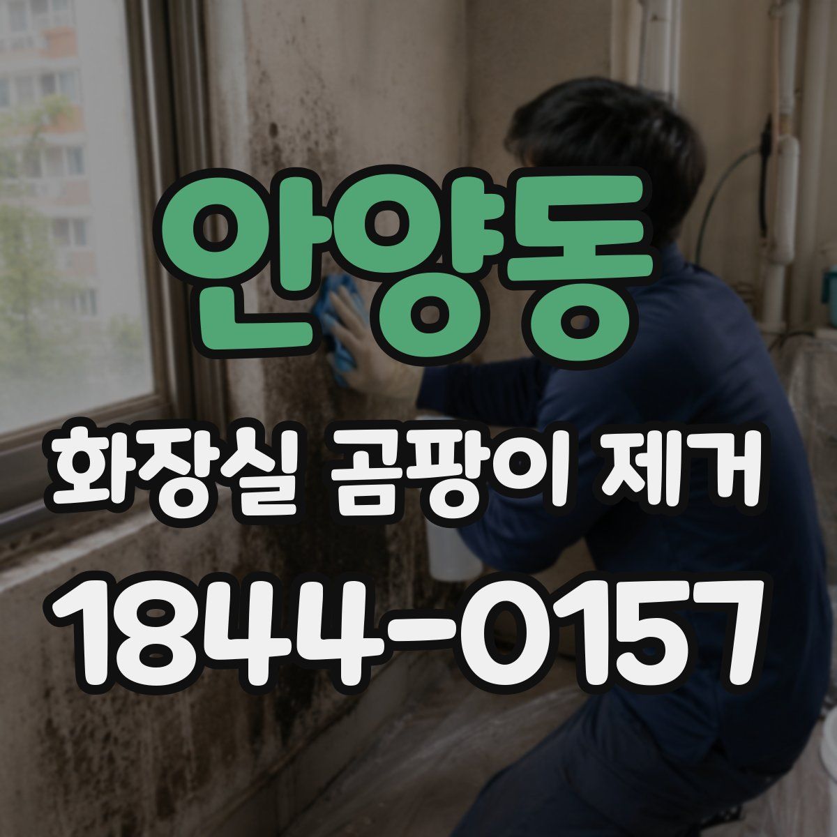 안양동 화장실 곰팡이 제거