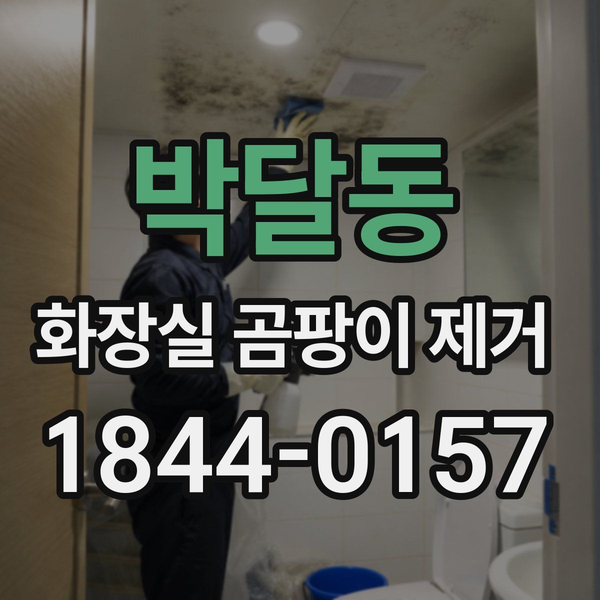 박달동 화장실 곰팡이 제거