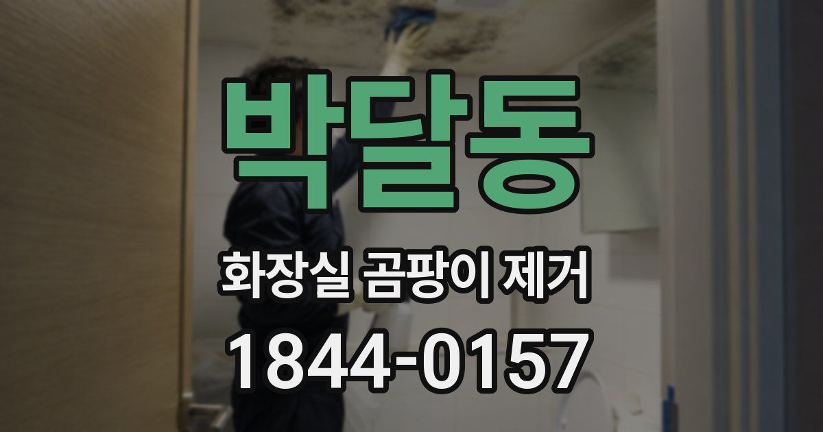 박달동 화장실 곰팡이 제거