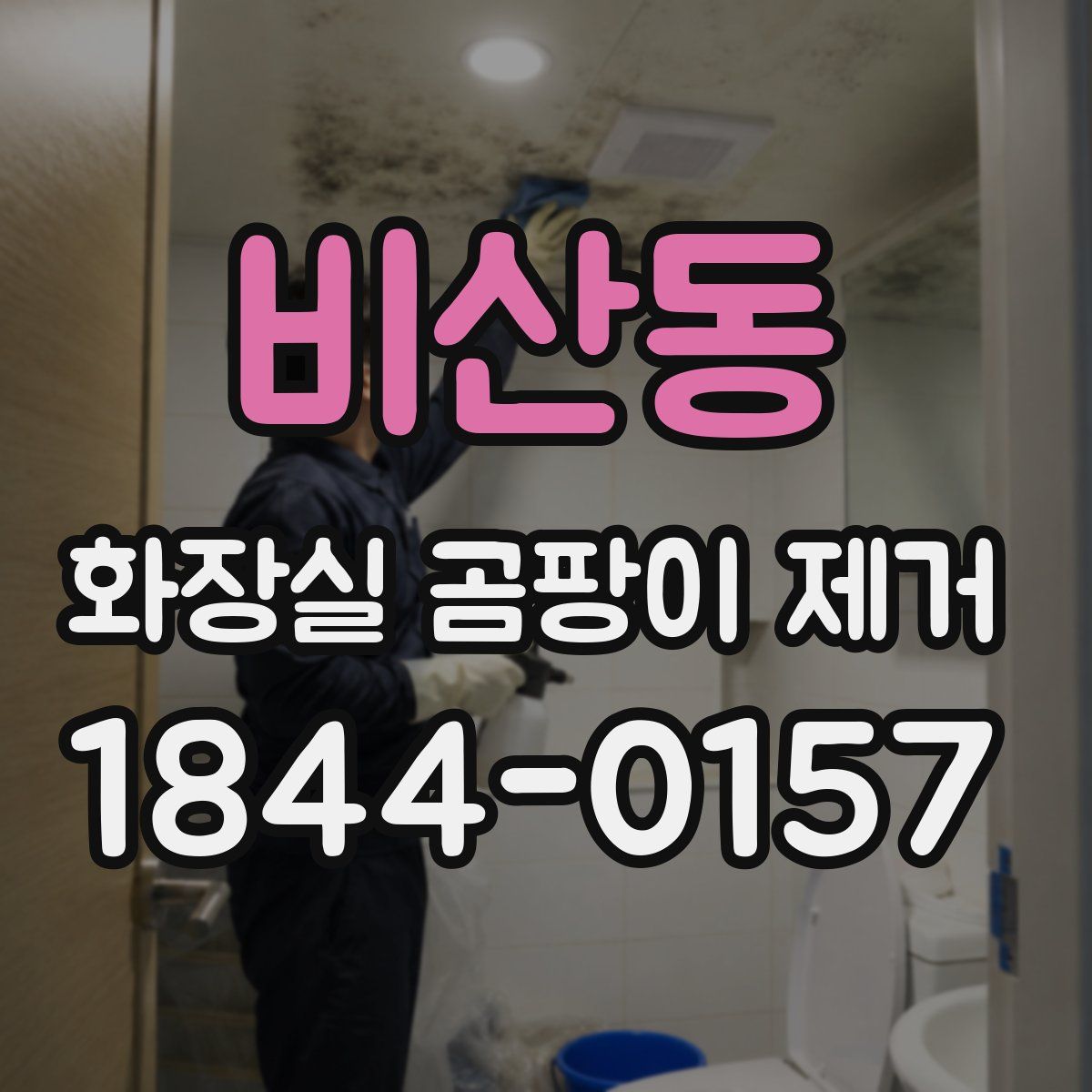비산동 화장실 곰팡이 제거