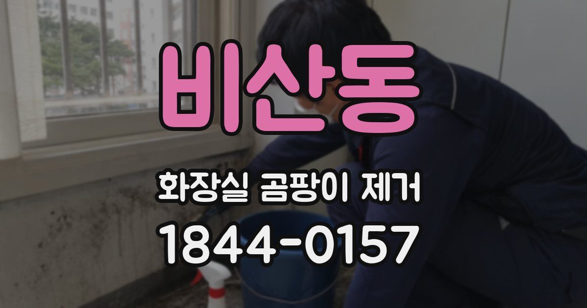 비산동 화장실 곰팡이 제거
