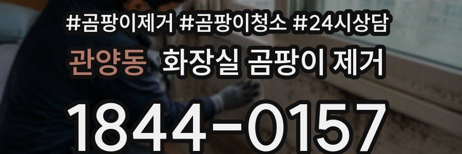 관양동 화장실 곰팡이 제거