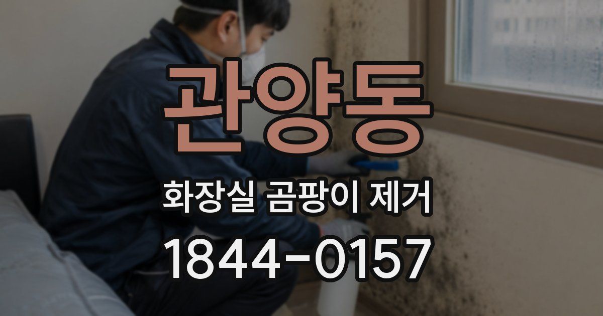 관양동 화장실 곰팡이 제거
