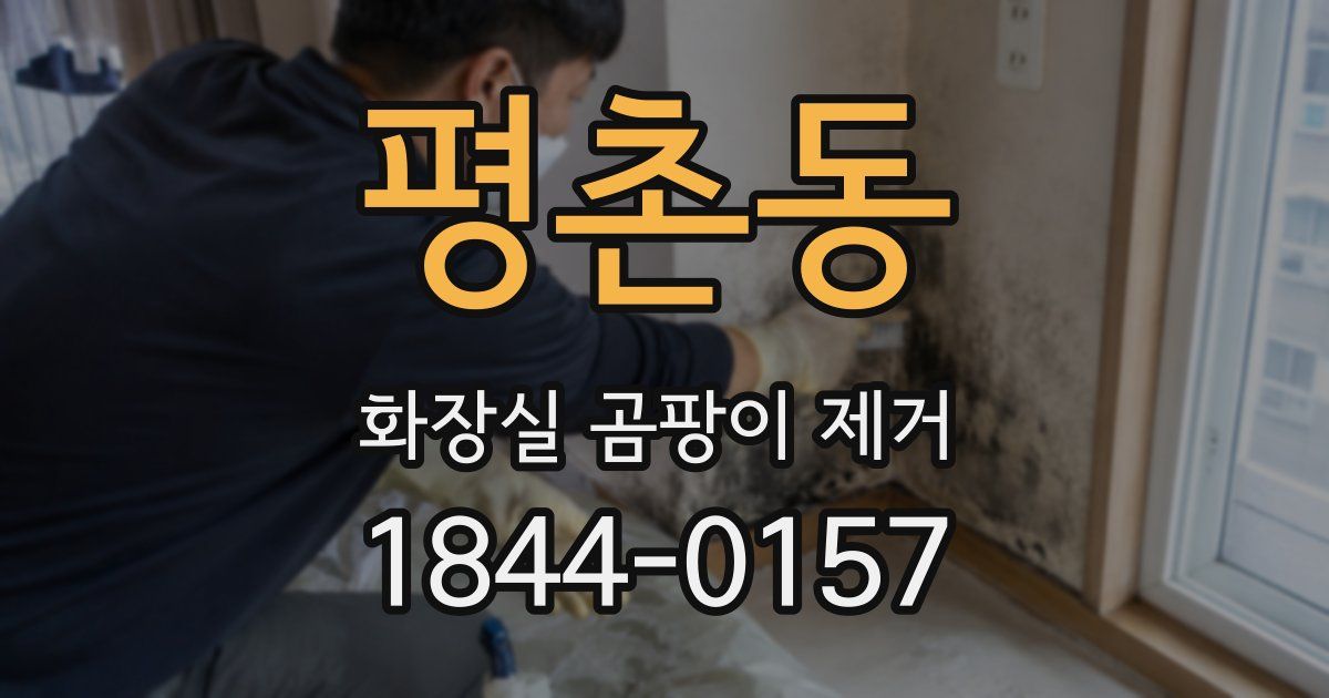 평촌동 화장실 곰팡이 제거