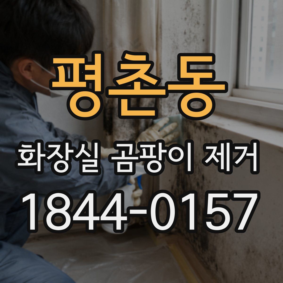 평촌동 화장실 곰팡이 제거