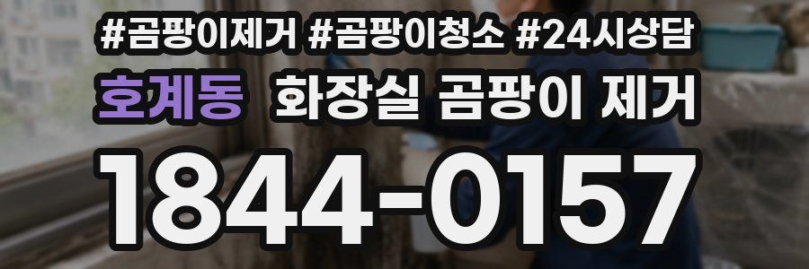 호계동 화장실 곰팡이 제거