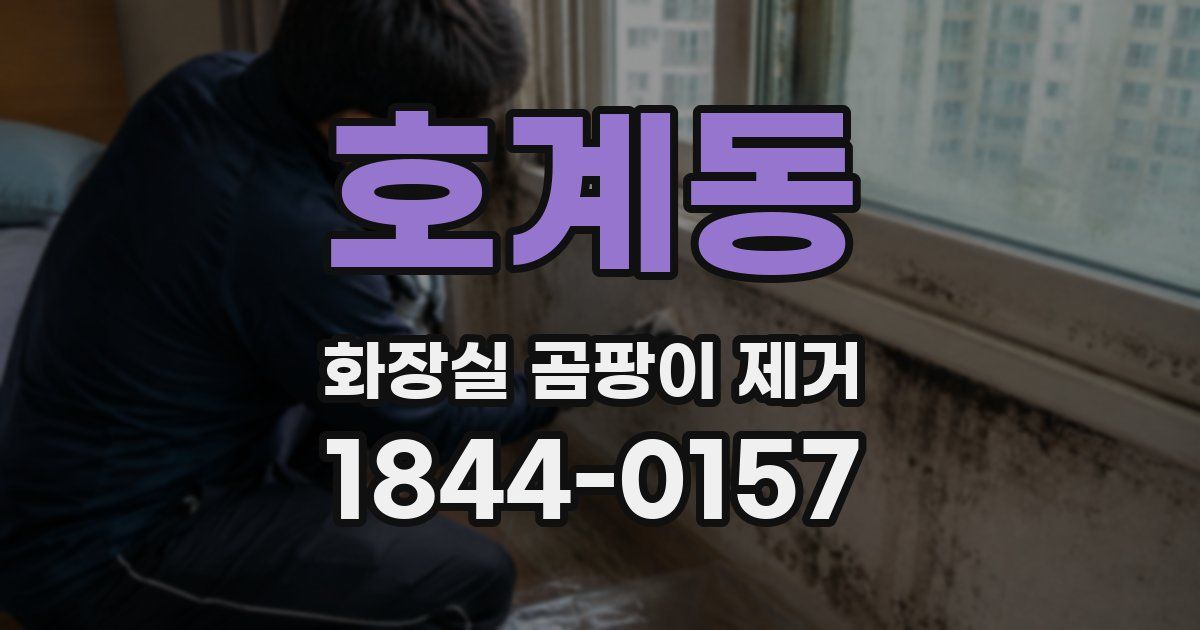 호계동 화장실 곰팡이 제거