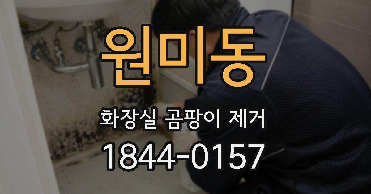 원미동 화장실 곰팡이 제거