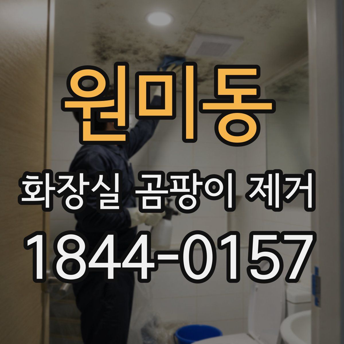 원미동 화장실 곰팡이 제거