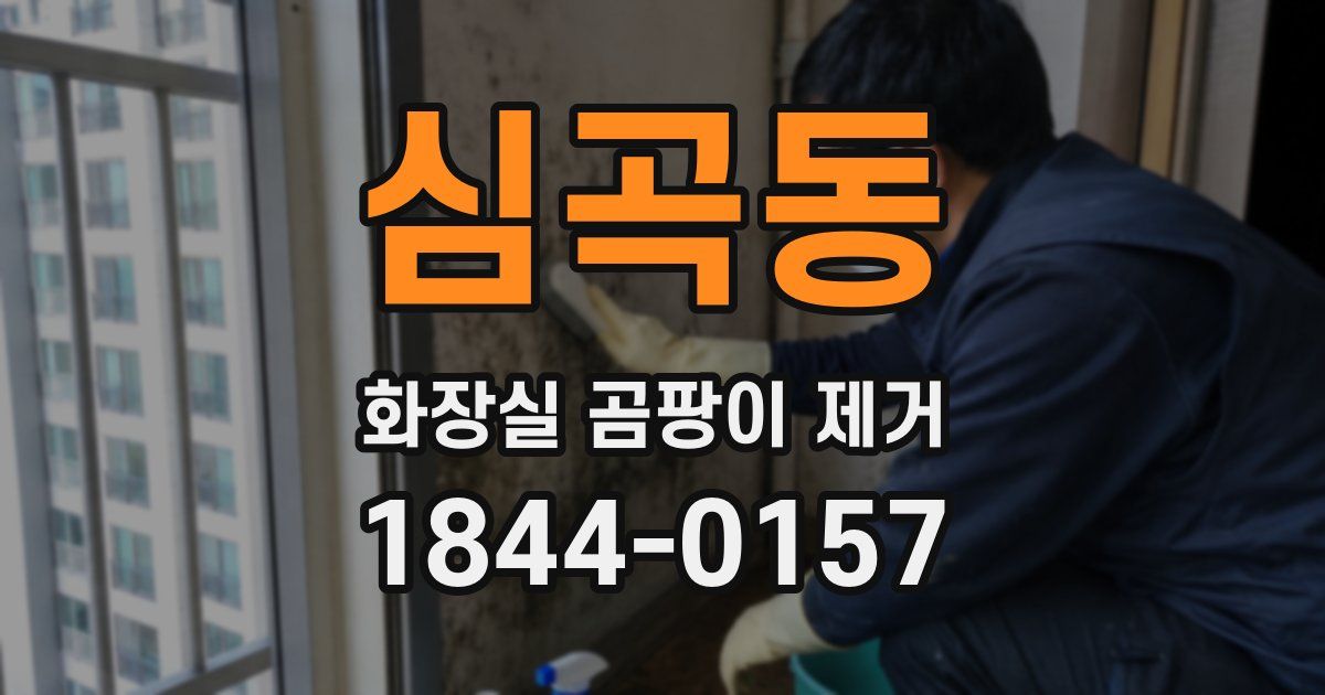 심곡동 화장실 곰팡이 제거