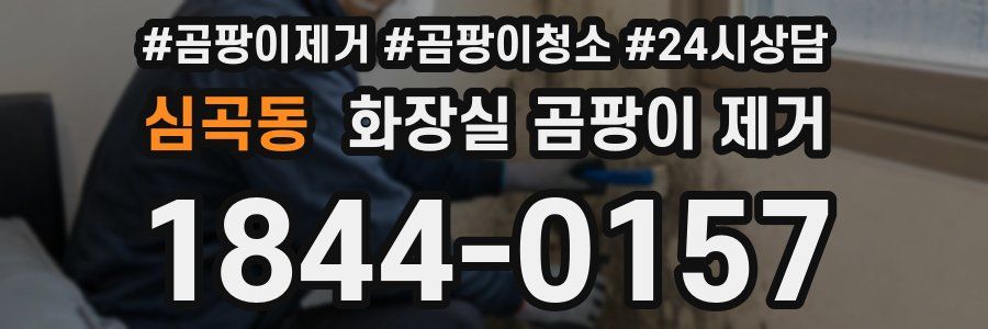 심곡동 화장실 곰팡이 제거
