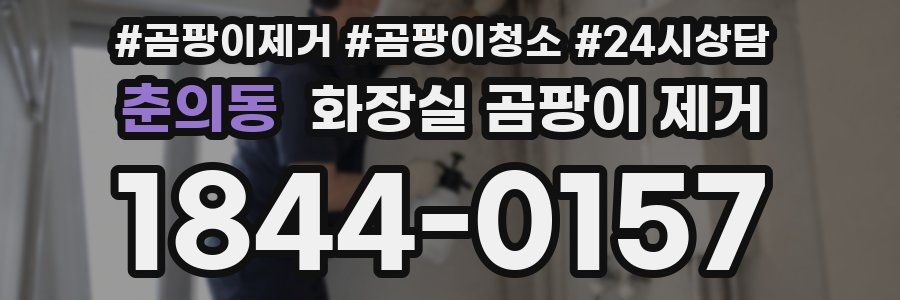 춘의동 화장실 곰팡이 제거