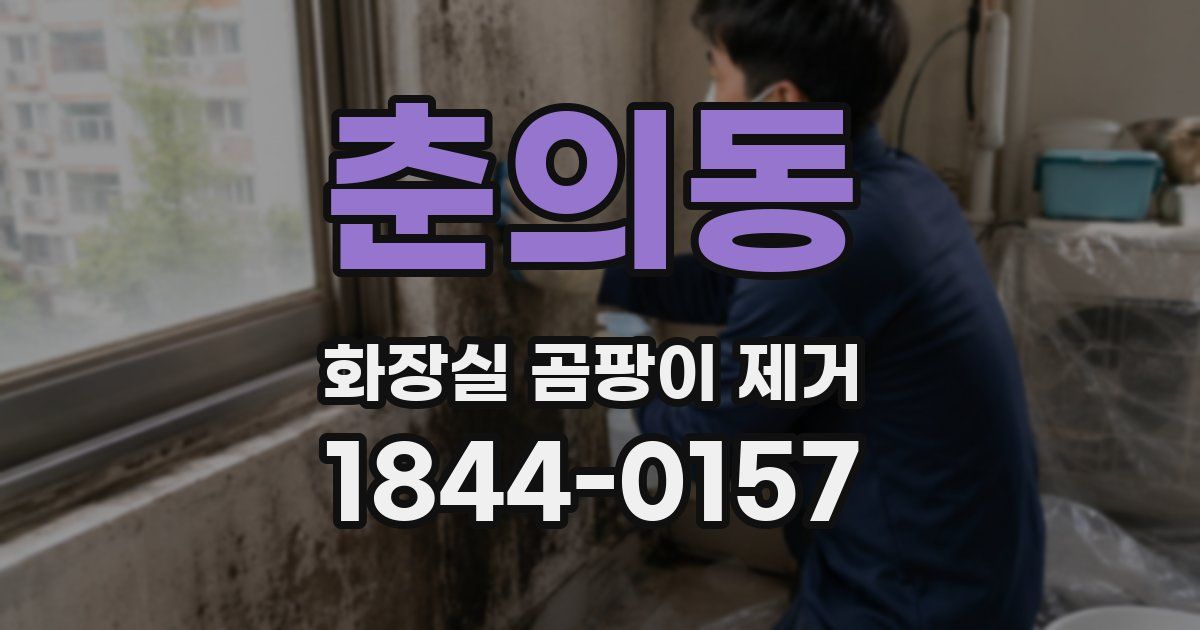 춘의동 화장실 곰팡이 제거