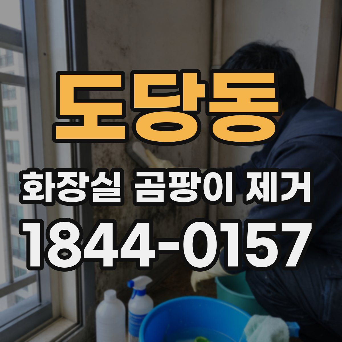 도당동 화장실 곰팡이 제거