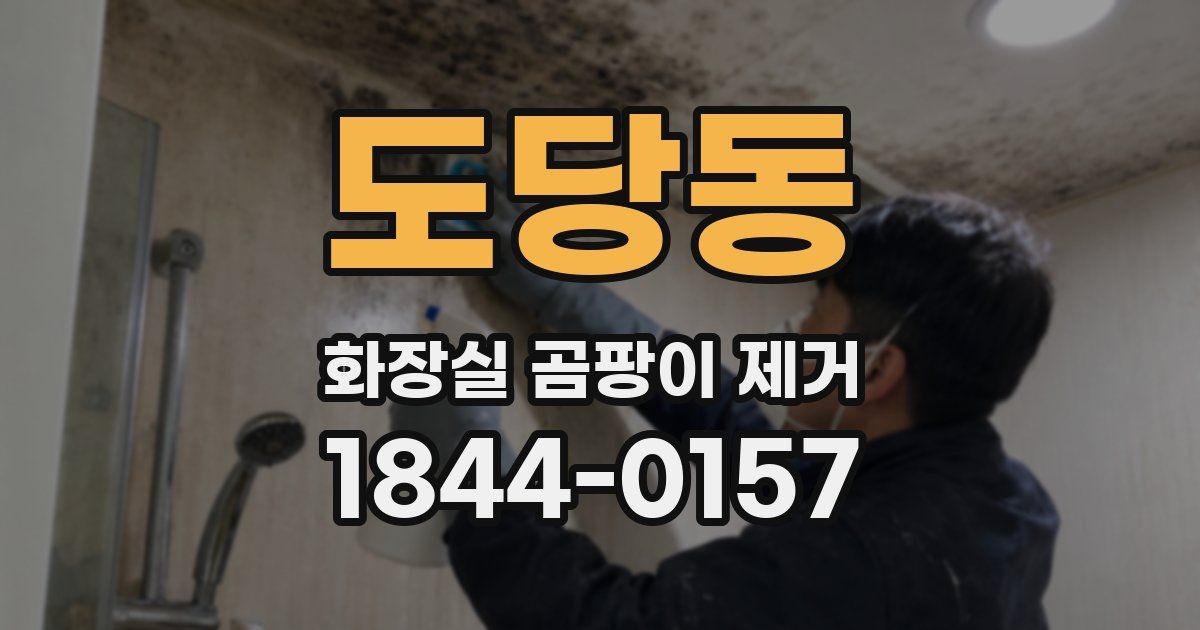 도당동 화장실 곰팡이 제거